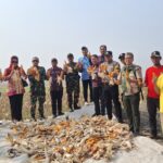 Polsek Mauk Panen Jagung Hibrida Program 1 Desa 2 Hektare di Desa Patramanggala